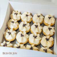 Mini Vanilla Cupcakes with Cream Cheese - Light, Soft, and Tangy (32pcs)