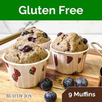 Organic Blueberry Muffins (Gluten-Free and Vegan) (9pc)