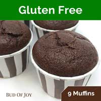 Organic Chocolate Muffin (Gluten-Free, Vegan, Gum-Free) (9pc)