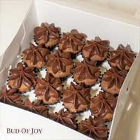 Organic Mini Chocolate Cupcakes with Dark Chocolate Fudge - Rich and Decadent (32pcs)