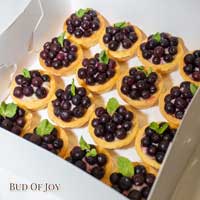 Organic Mini Fruit Tarts - Fresh, Seasonal, and Delightful (48pcs)