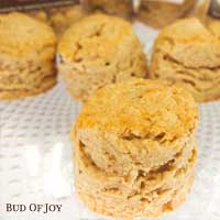 Mini Organic Walnut Scones (32pcs)