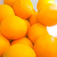Organic Oranges - Big (4pcs)