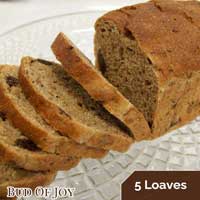 Organic 100% Wholemeal Spelt Bread (Walnut Raisin) (5x)